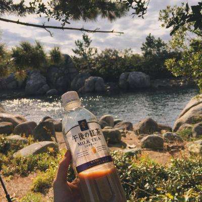 经典牛牛下载手机版